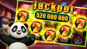 vegas casino স্পোর্টস বেটিং — লাইভ ক্রিকেট ও ফুটবল ম্যাচের রোমাঞ্চকর মুহূর্ত